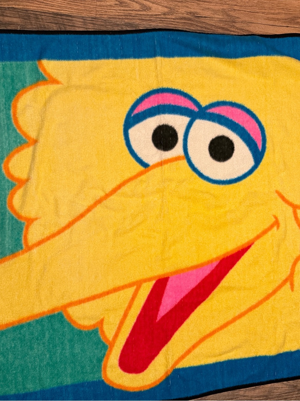Vintage OWEN- 1990s Sesame Street Big Bird fleece throw blanket Made In Mexico